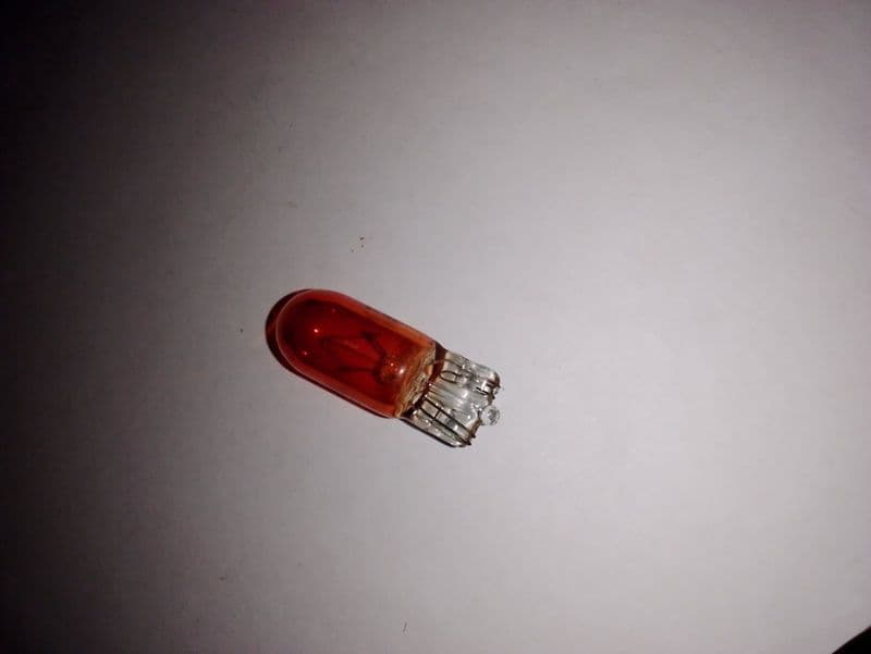 PEANUT BULB ( M)