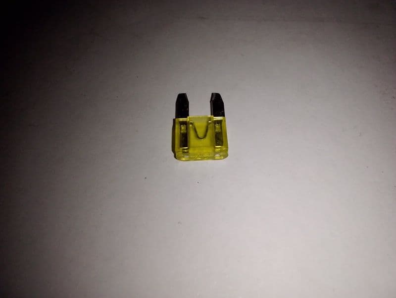 Plug in fuse small 20amps