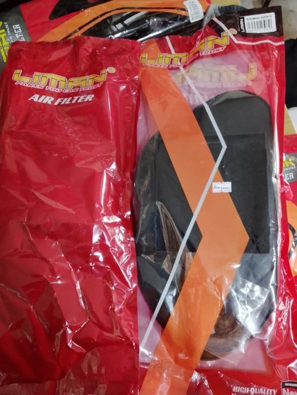 Air Filter Burgman/ Avenis